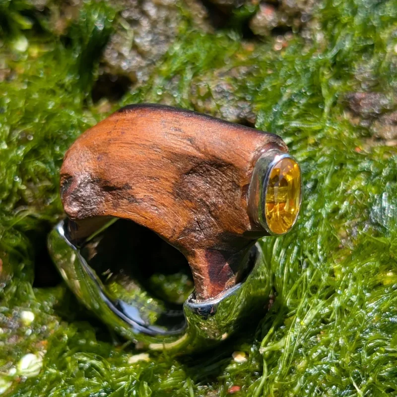 YIN RING