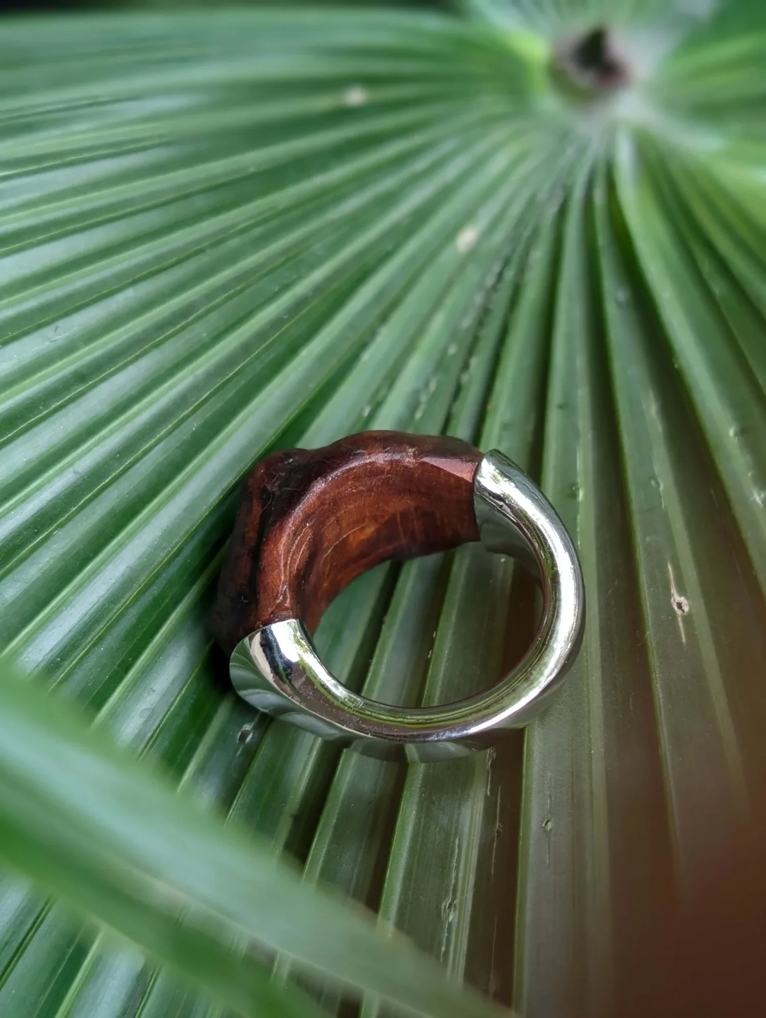 ONA RING