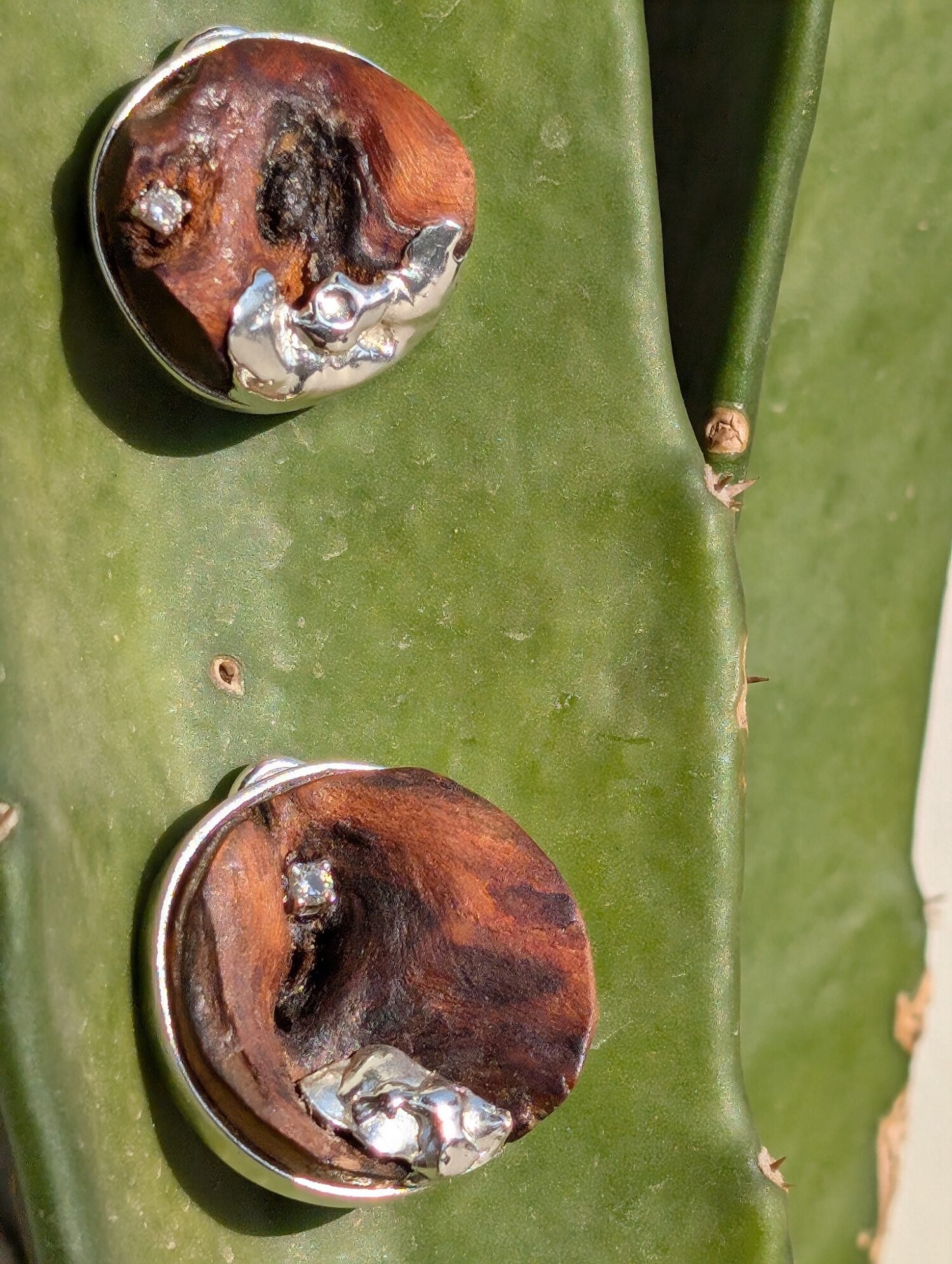 Gem and Grain Stud