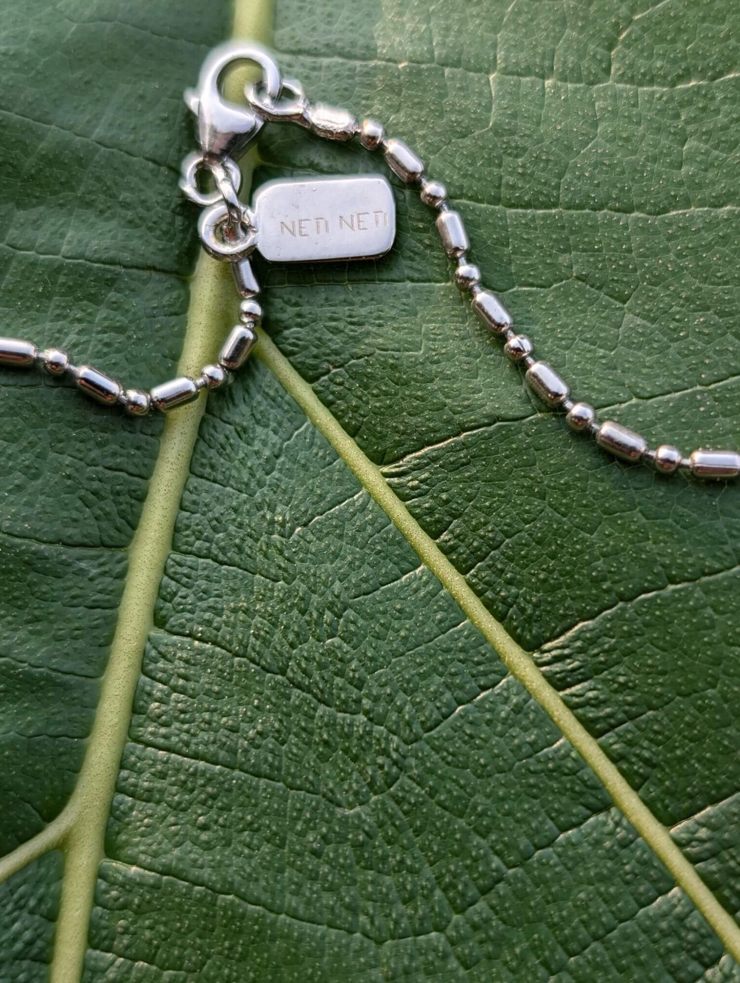 Ezra Pendant with Chain