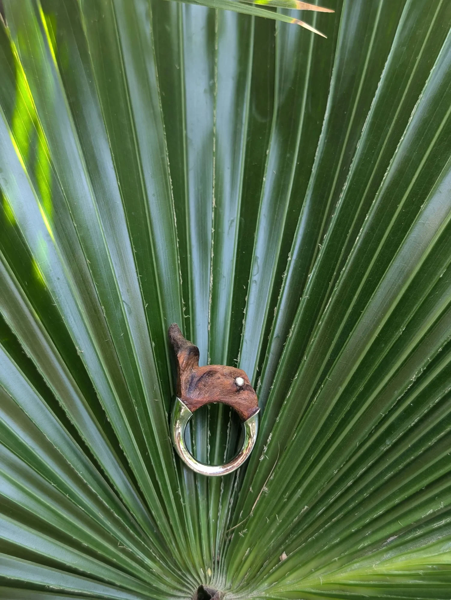CORA RINGS ( 4 STYLES)