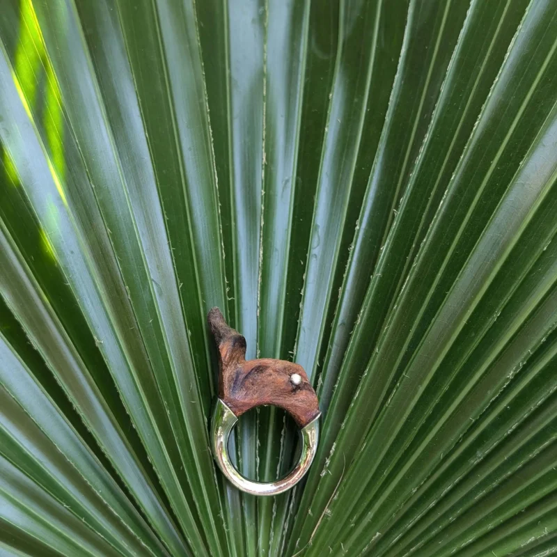 CORA RINGS ( 4 STYLES)