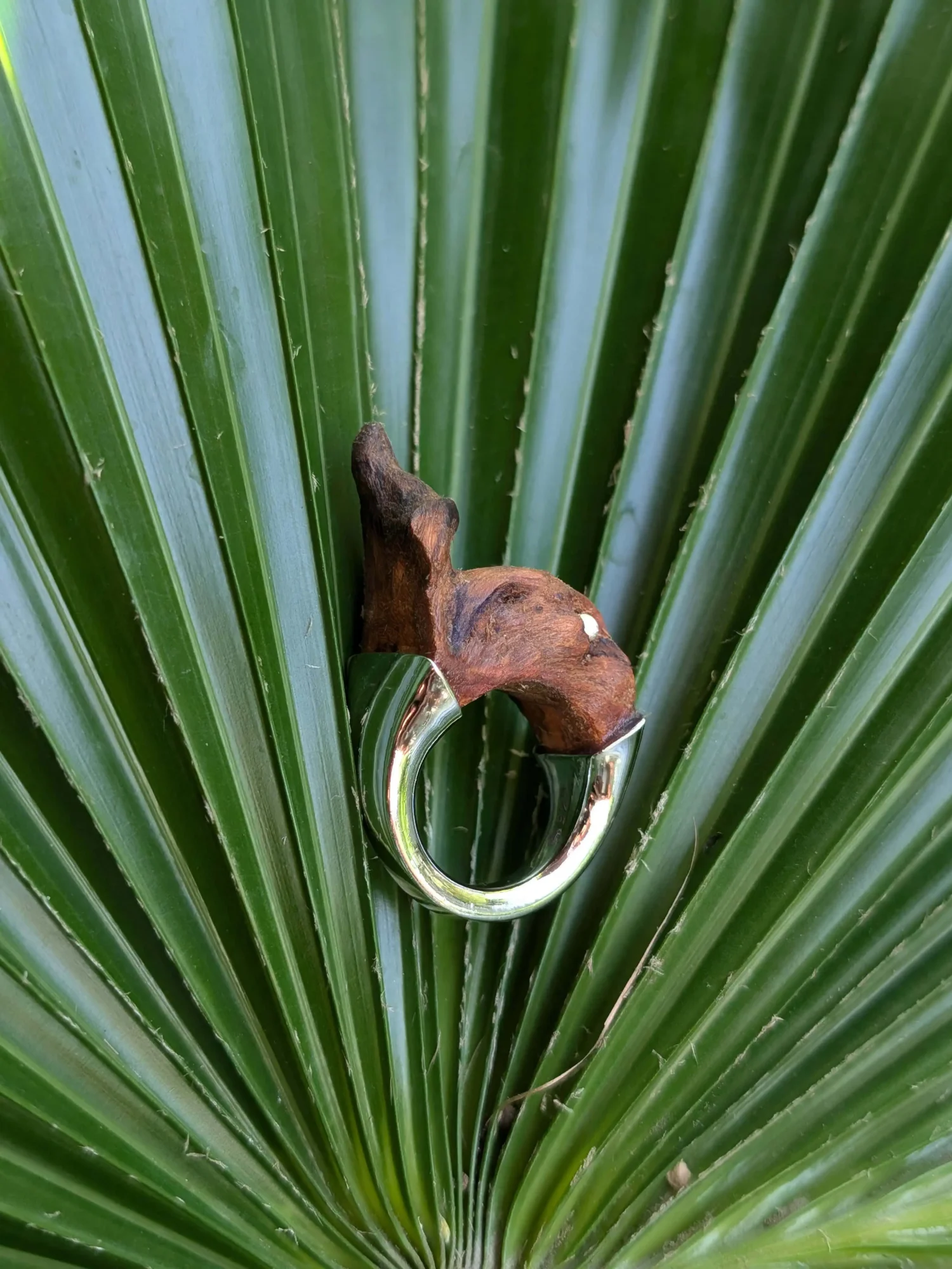 CORA RINGS ( 4 STYLES)