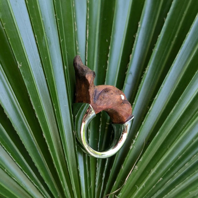CORA RINGS ( 4 STYLES)