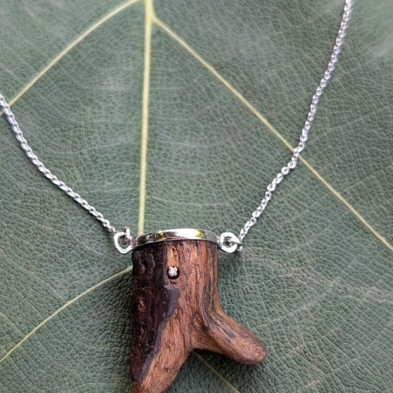 Ezra Pendant with Chain