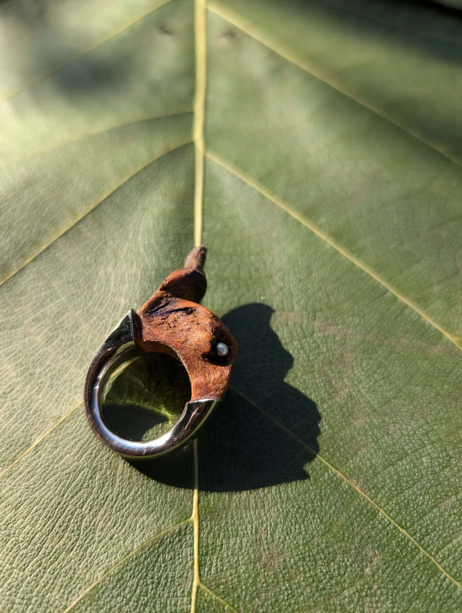 CORA RINGS ( 4 STYLES)