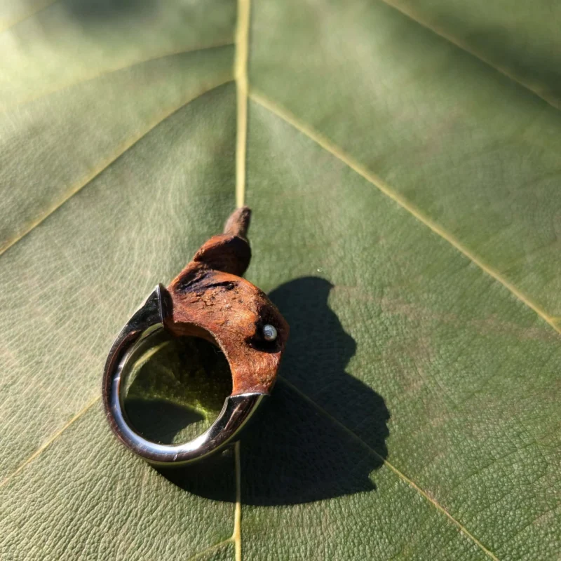 CORA RINGS ( 4 STYLES)