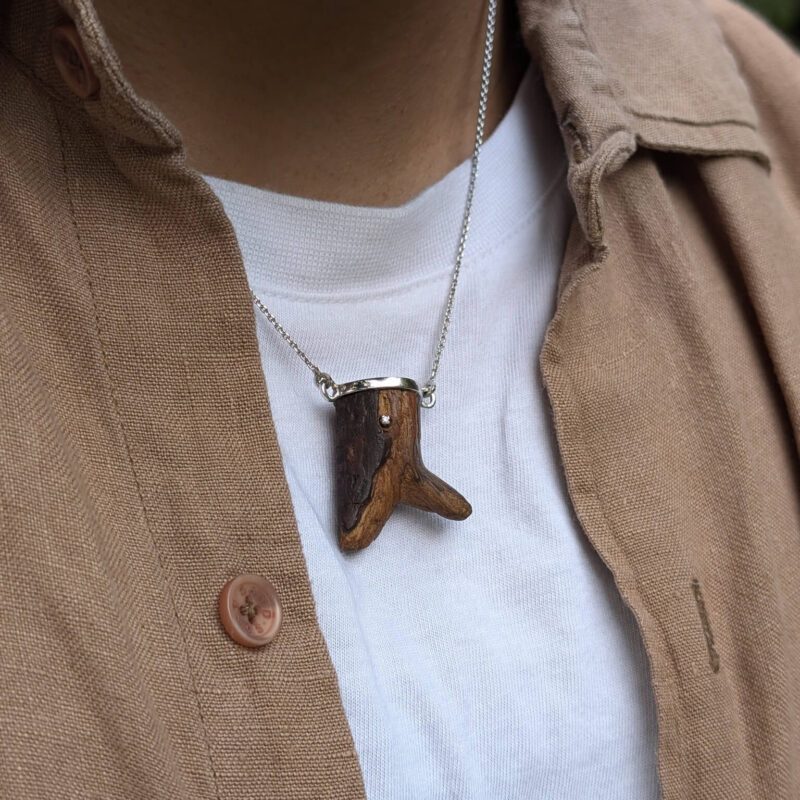 Ezra Pendant with Chain