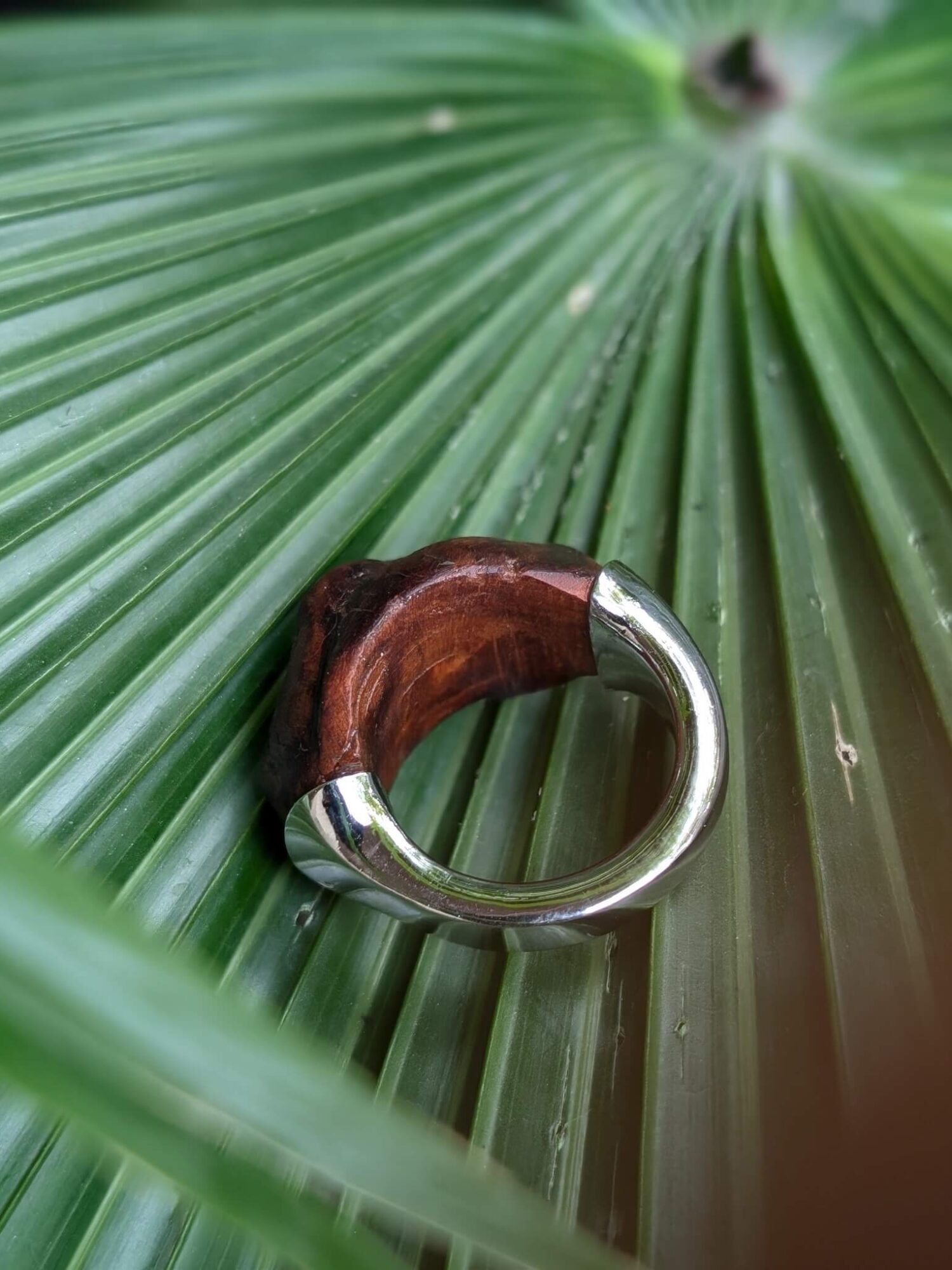 Moonlight Ring