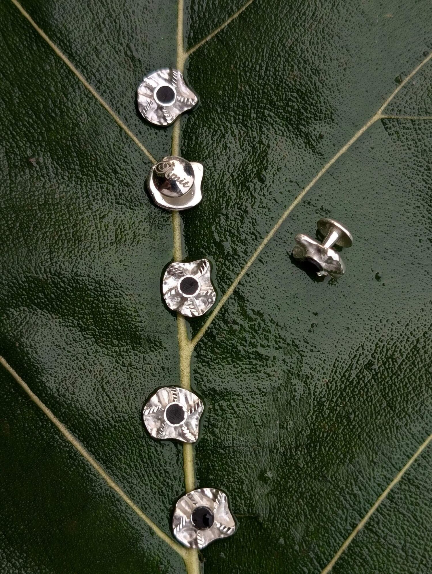 Nature Contrast Buttons
