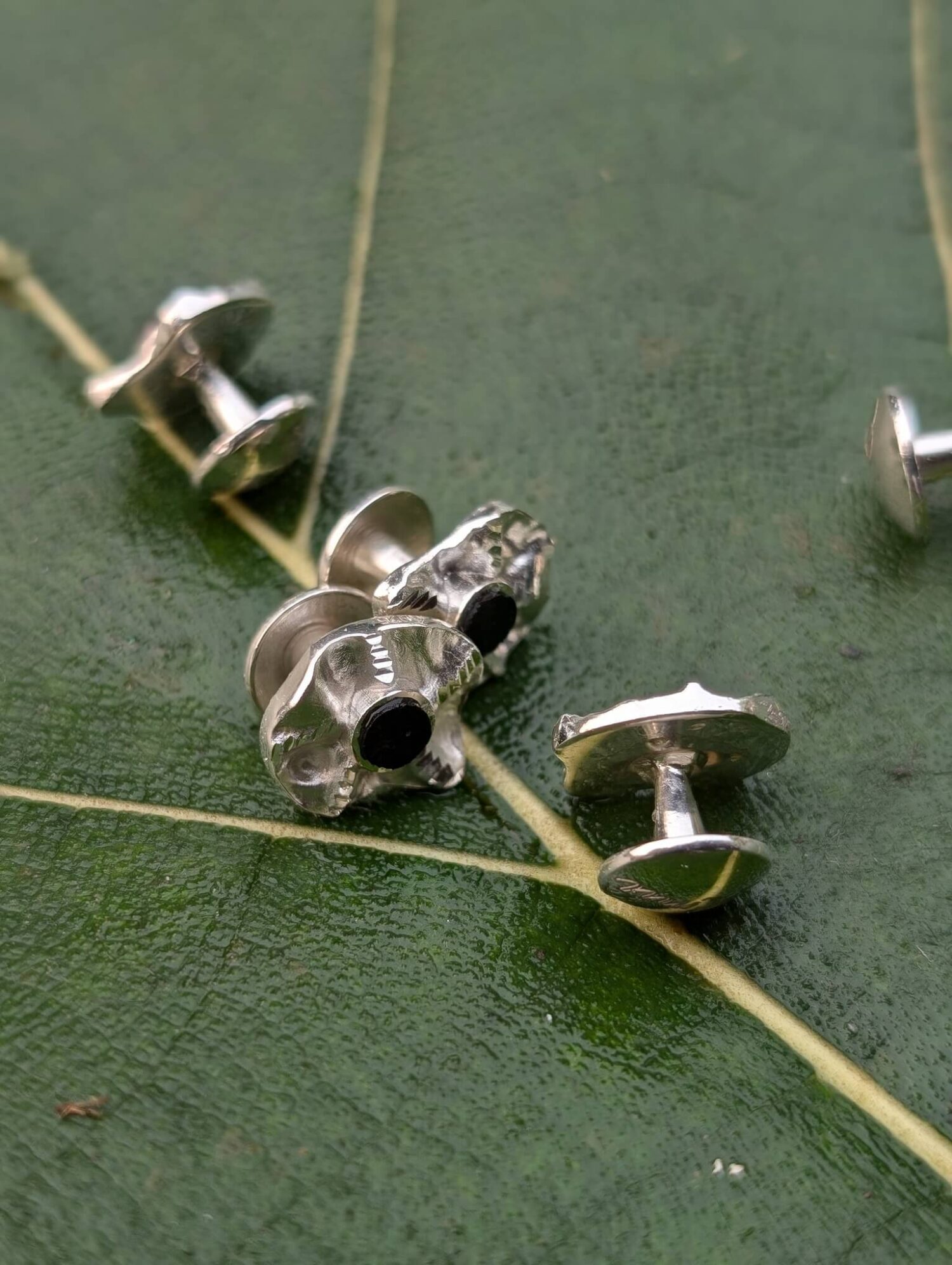 Nature Contrast Buttons