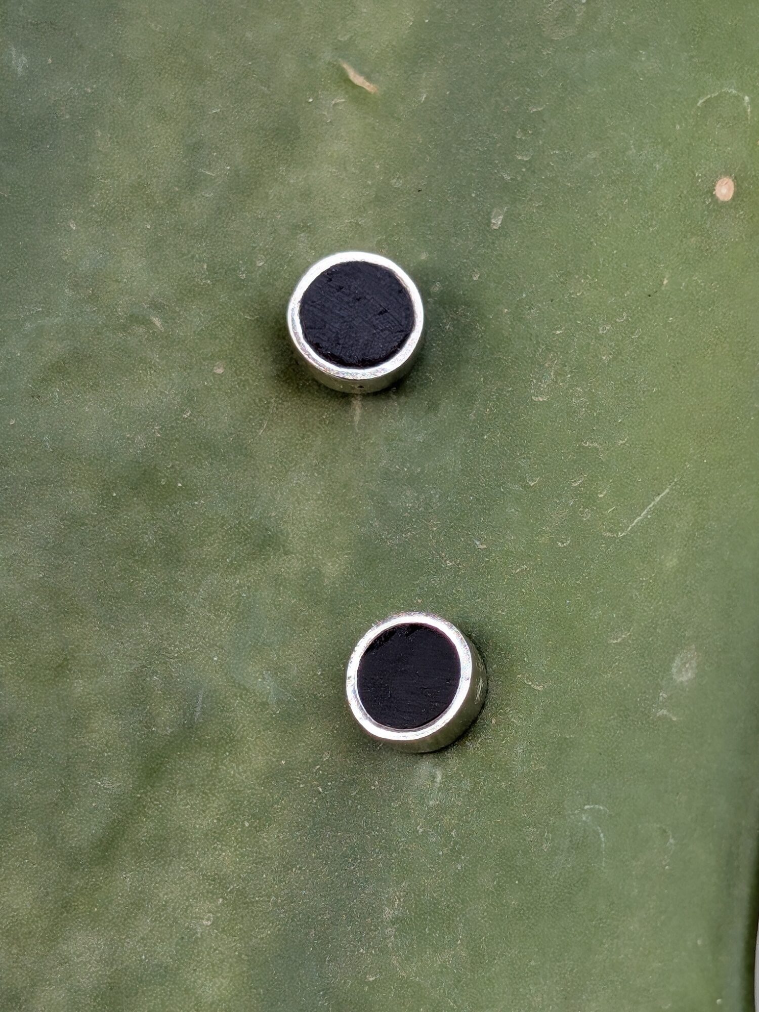 Wildwood Noir Studs