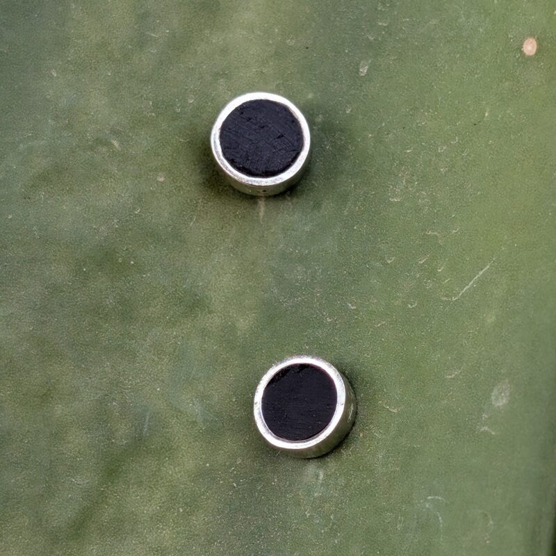 Wildwood Noir Studs