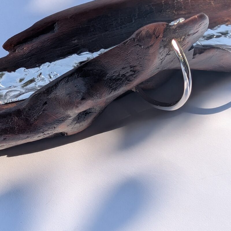 Echo Pendant with Thick Chain